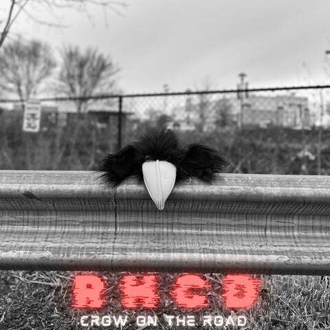 Crow On The Road