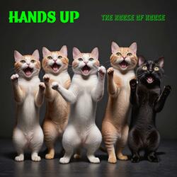 Hands Up