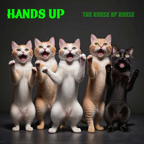 Hands Up
