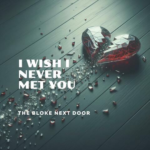 I Wish I Never Met You