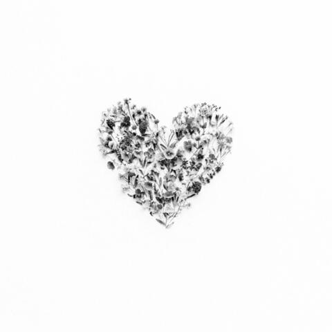 hole in my heart (versions)