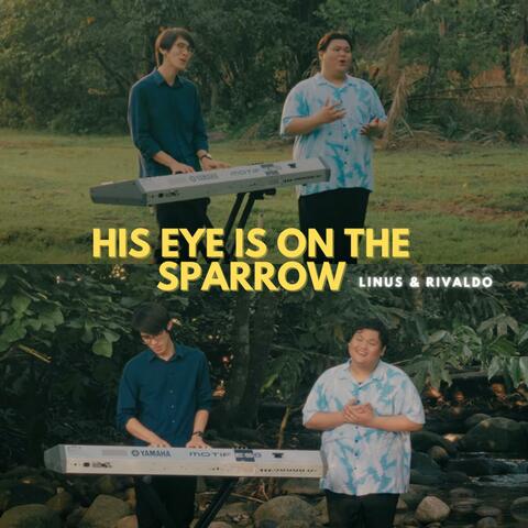 His Eye is on the Sparrow
