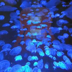 The Super Question Machine