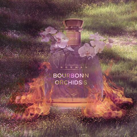bourbonORCHIDS