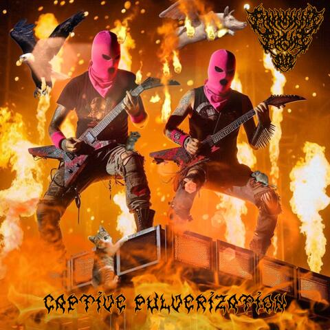 Captive Pulverization