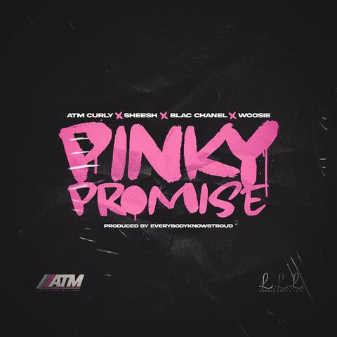 Pinky Promise (feat. S.H.E.E.S.H, Blac Chanel & Woosie)