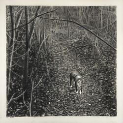 This Fist Fight Could Have Been An Email