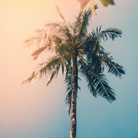 crystal clear