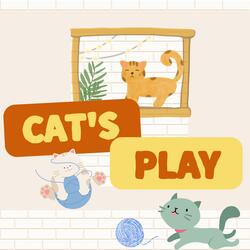 Cat's playing afternoon