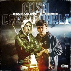 Cosa cazzo parli (feat. Serse)