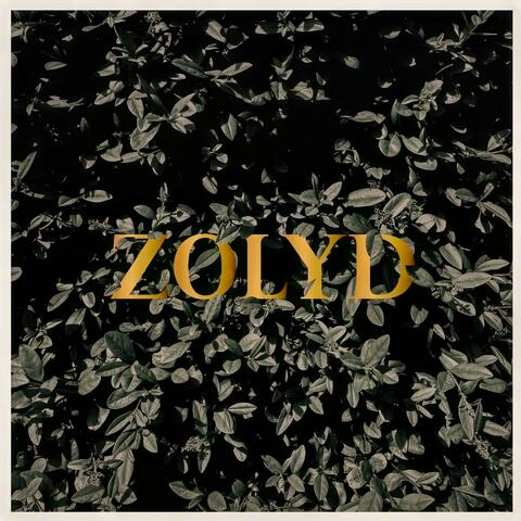 Zolyd