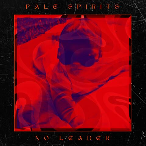 No Leader