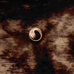 Blue Vervain (feat. Elliott Skinner)