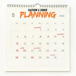 Planning (feat. Sonik)