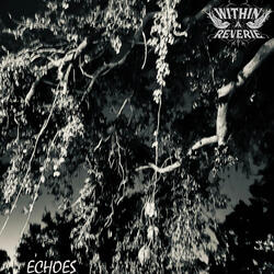Echoes