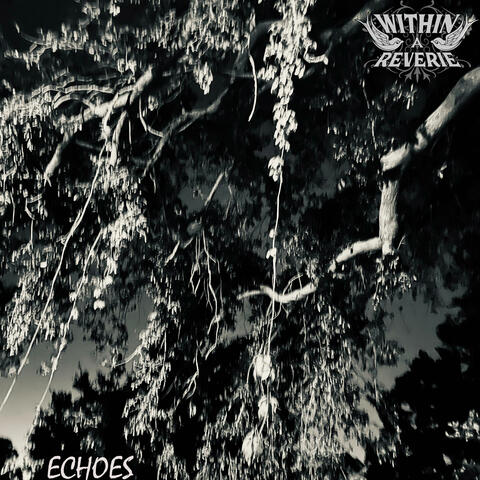 Echoes
