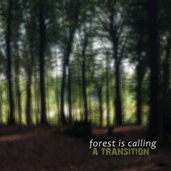 Forest is calling