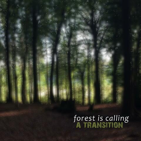 Forest is calling