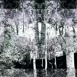 HAUNTED