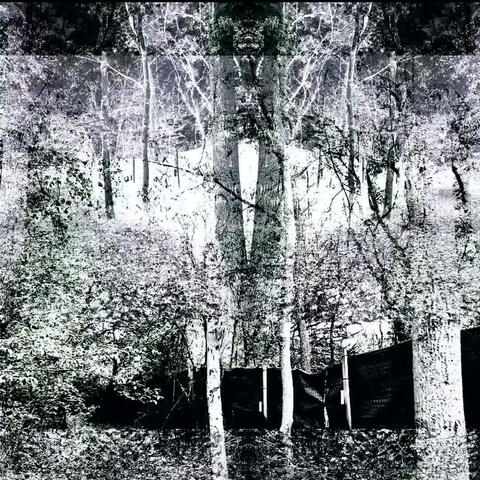 HAUNTED (HOUSE MIX)