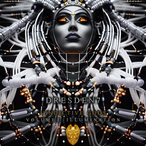 VINDICTIVE GODS (VOLUME I: ILLUMINATION)