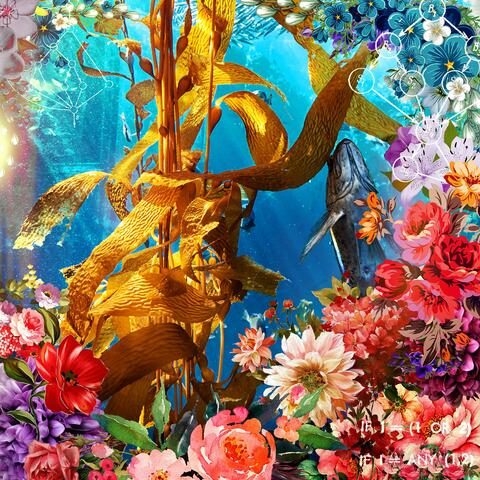 Kelp Forest