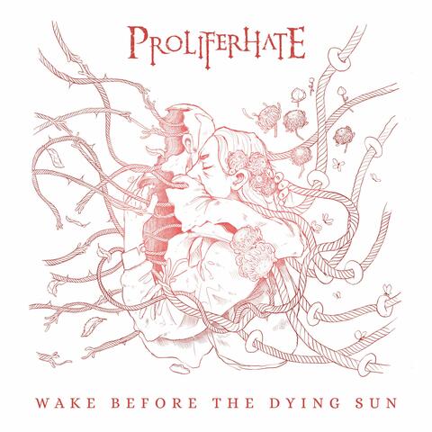 Wake Before The Dying Sun (Instrumental)