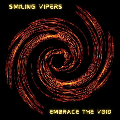 Embrace The Void