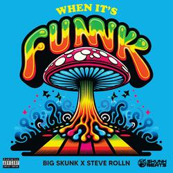 When it's funk (feat. STEVE ROLLN)