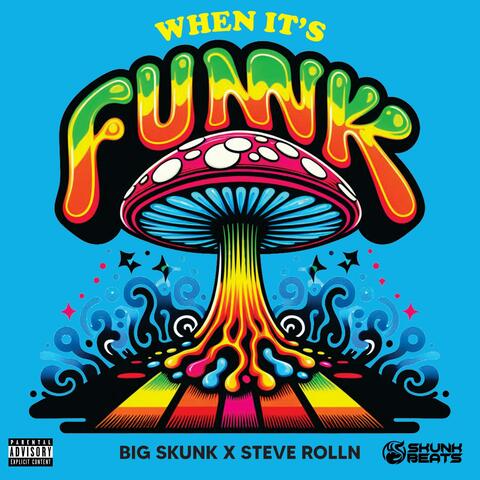 When it's funk (feat. STEVE ROLLN)