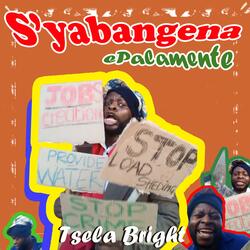 S'yabangena ePalamente