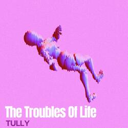 The Troubles Of Life