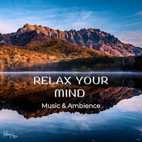 Relax your mind (Music & Ambience)