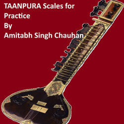 TAANPURA Scale A# Or Bb