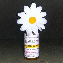 Daisy