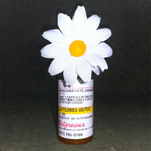 Daisy