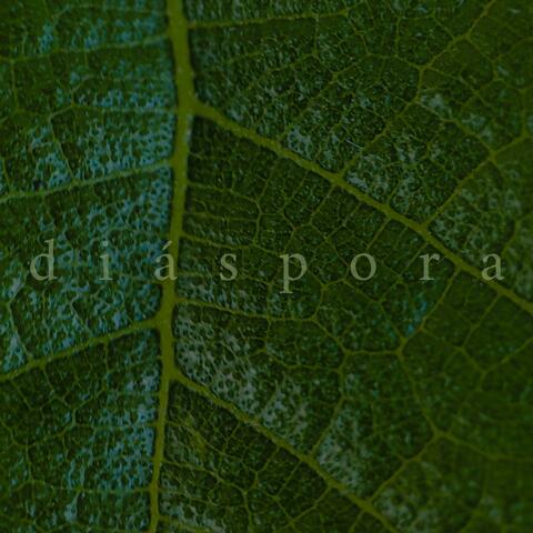 diáspora