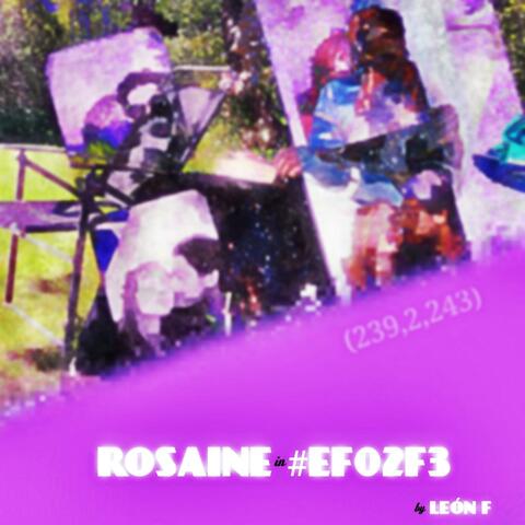 ROSAINE in #EF02F3