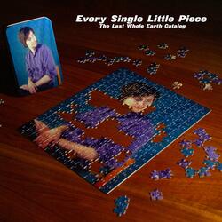 Every Single Little Piece