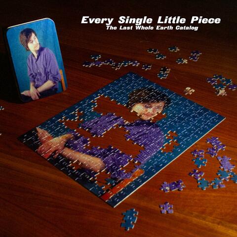 Every Single Little Piece