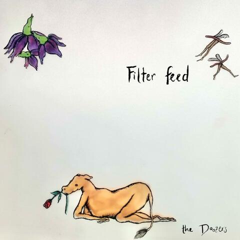 Filter feed