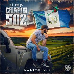 Chapin 502