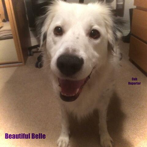 Beautiful Belle