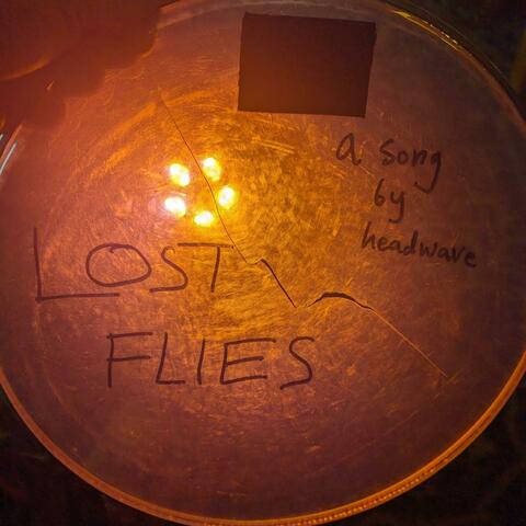 Lost Flies