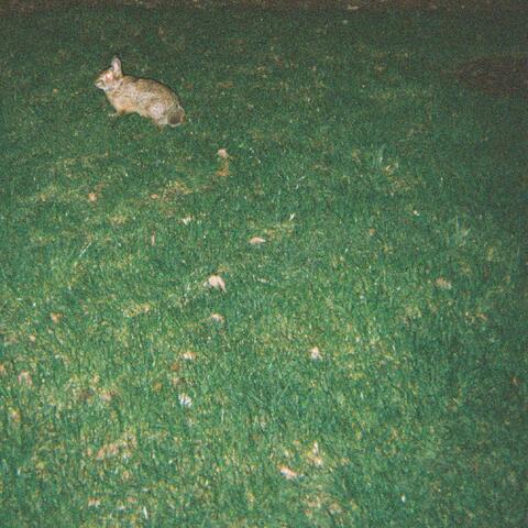 His Best Friend Was A Friend Of Mine