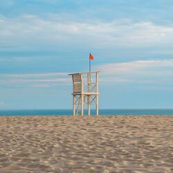 Blame It on the Summer