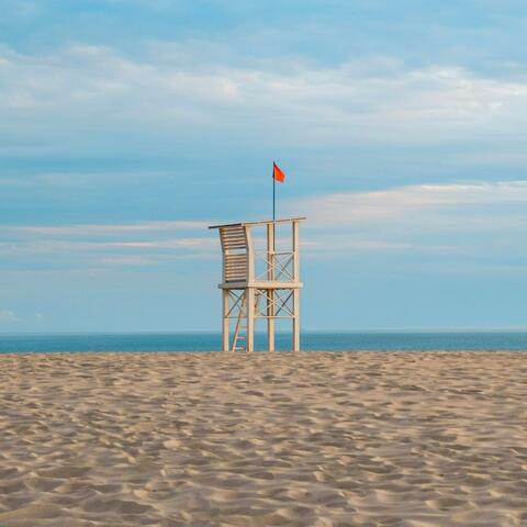 Blame It on the Summer