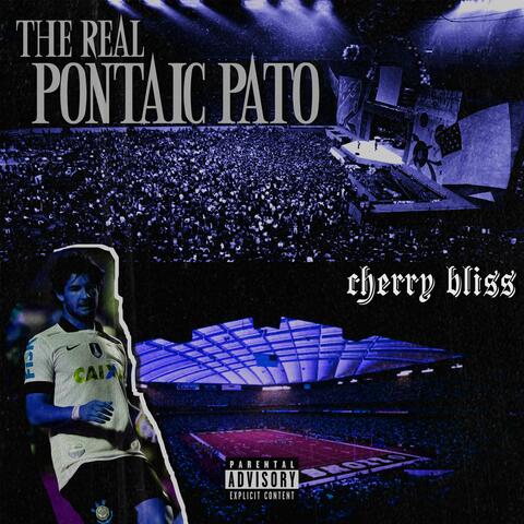 PONTIAC PATO