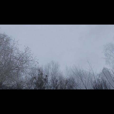 Forbidden Cities (Lo-fi)