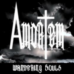 Wandering Souls